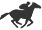 horse racing